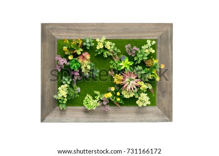 Picture frame plastic flowers on white background