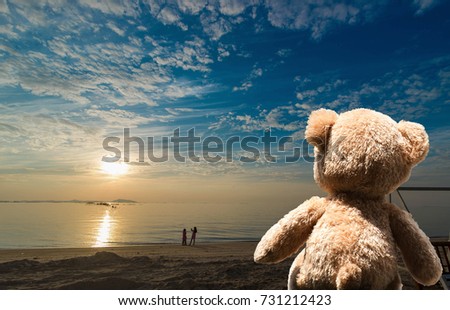 Bear sitting in the sea