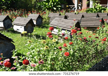 Apiary among the flowers in the mountains of the North Caucasus