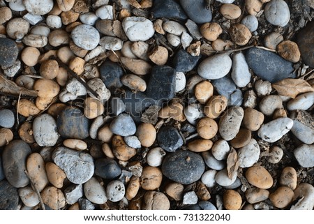 The Rock many color on the sand white, brown, black, gray