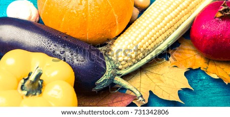 Photo on top of blue wooden table with autumn leaves, corn, tomato, eggplant, pomegranate