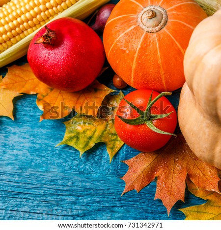 Photo on top of blue wooden table with autumn leaves, corn, tomato, eggplant, pomegranate, with blank space for text