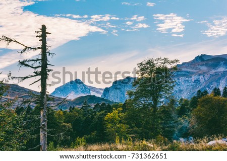 autumn landscape dried pine, the smoke from the campfire, the travelers car and forest on the background mountain range Tybga in the evening