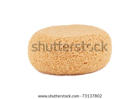 oval sponge isolated on white