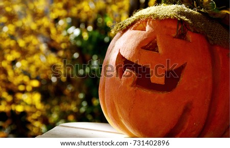 Halloween pumpkin with yellow bohke from yellow leaf tree background and dark shadow.