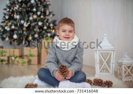 Cute boy near Christmas tree with cones