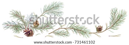 Horizontal border with pine branches and cones, needles on white background, hand digital draw, watercolor style, decorative botanical illustration for design, Christmas tree, vector