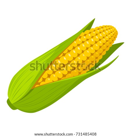 Corn Royalty-Free Stock Photo #731485408