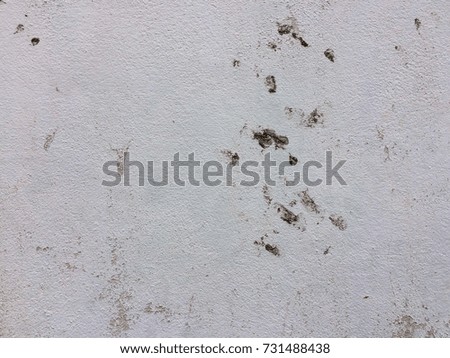 Old white paint cement wall background and texture