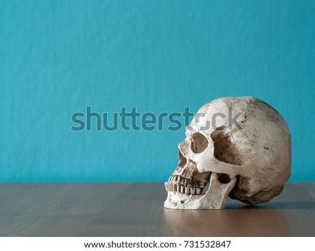The skull is placed on a wooden table. The backdrop is blue. having copy space
