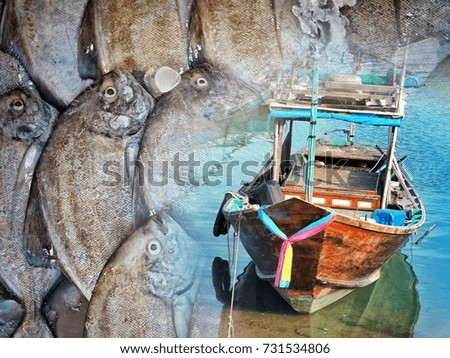 Fishing boats in the harbour with fresh fishes. Concept of richness sea.