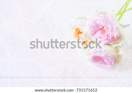 Roses flowers in mulberry paper pastel color style soft blur for background.