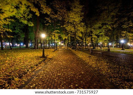City night park in autumn after the rain with paths strewn with fallen yellow leaves and trees. Landscape.