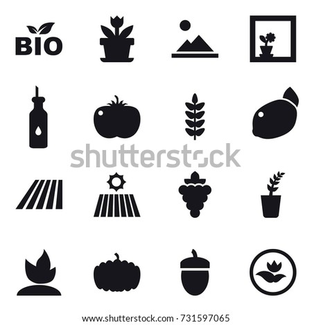 16 vector icon set : bio, flower, landscape, flower in window, field, grape, seedling, sprouting, pumpkin, acorn, ecology