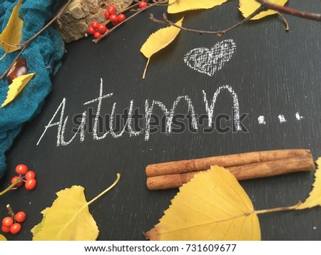 autumn love. autumn leaves. concept autumn. 