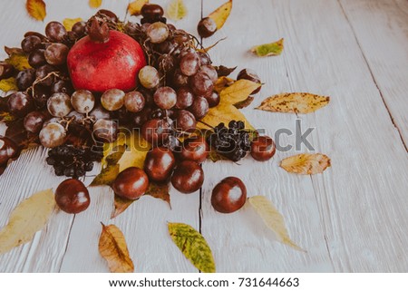 Autumn still life. apple, pumpkin, pomegranate, viburnum, leaves.
