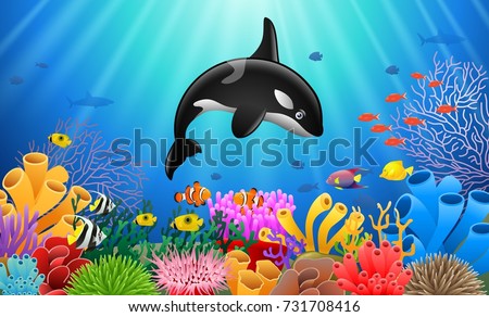 Cartoon killer whale with Coral Reef Underwater in Ocean. 