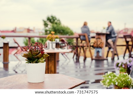 Flowers pot on outdoors rooftop terrace.