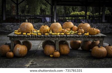 Decorative assortment of pumpkins on a rustic outdoor table top. 