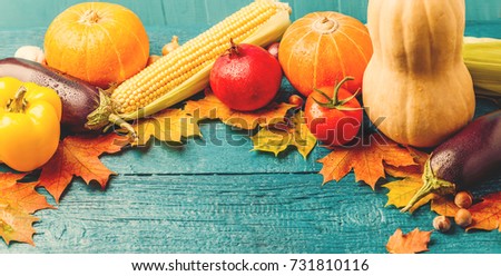 Toned photo of autumn leaves, pumpkins, tomato, pomegranate, corn on blue wooden table with space for text