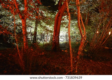 Different coloured spotlights illuminate the forest to celebrate the traditional Indian, Diwali "Festival of Lights".