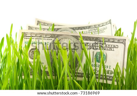 dollars in the green grass