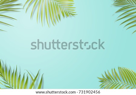 Tropical palm leaves frame on light blue background. Minimal nature. Summer Styled.  Flat lay. 