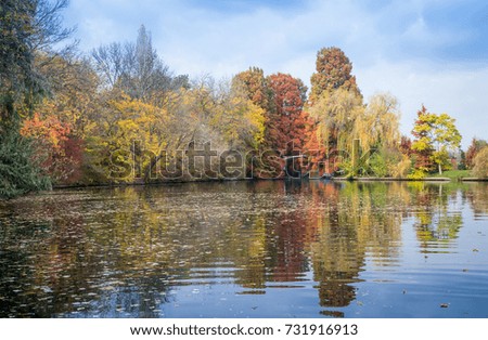 Multicolored autumn landscape with trees, birds and reflections in water. Concept of environmental protection
