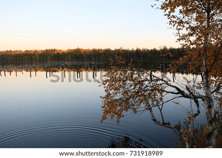 autumn landscape - a reflection of autumn forest in a beautiful lake