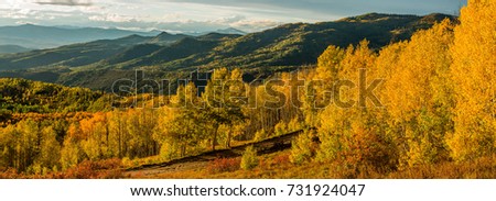 Sunset Golden Valley - A panoramic autumn sunset view of golden aspen grove in a mountain valley, Routt National Forest, Steamboat Springs, Colorado, USA. Royalty-Free Stock Photo #731924047