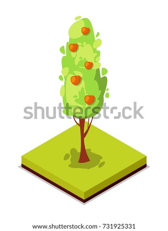 Green apple tree isometric 3D icon. Public park decorative plant and green grass vector illustration. Nature map element for summer parkland landscape design.