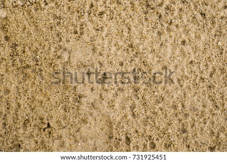 Texture of sand field which full of holes cover it, using as background
