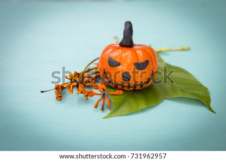 Funny Halloween pumpkin on green leaf and dry flower on blue background