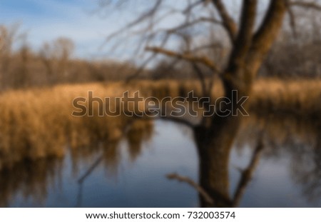 blur view outdoor smooth soft abstract background design nature landscape