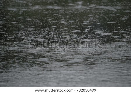 rain waters fall onto the road