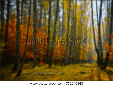 design blur outdoor abstract nature soft view background smooth landscape