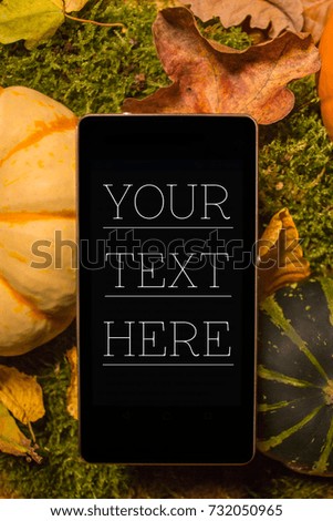 Autumn phone for offers and sales with pumpkin decoration and grass