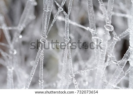 
WINTER SCENE WITH ICE PATTERNS