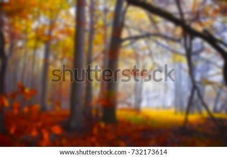 background soft blur view abstract nature landscape design smooth outdoor