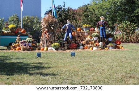 autumn yard scene
