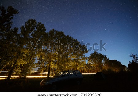 Stars in the night sky over the highway in the forest.