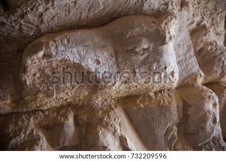 Ancient engraving on the wal . Ancient drawing on the cave wall