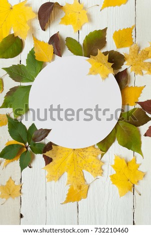 Autumn leaves on white wooden background. Autumn concept, round frame