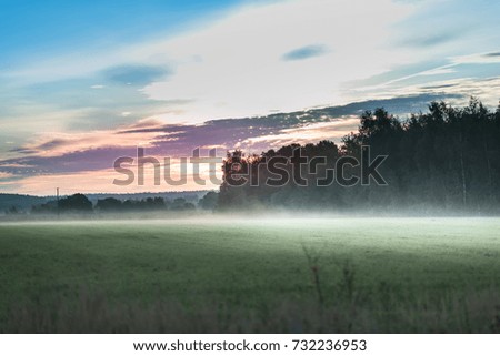 foggy morning meadow. landscape.