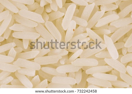 Grain rice background
