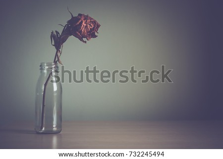 Dried rose flower in glass jar on wooden table. For background with blank copy space for your text. Memory and sad Love Concept. Vintage color tone