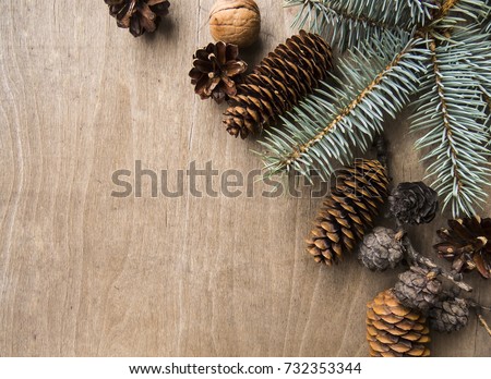 Coniferous trees on a wooden background.Top view. Place for text.Dark vintage background . Beautiful christmas art background.
