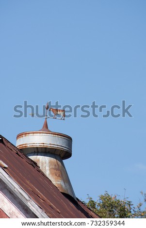 Close up of a vintage weather vane with a cow and arrow made of metal on top of a rustic weathered red barn roof. Image has copy space.