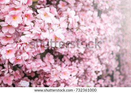 Close up artificial sakura flower for decorating japanese style , image has shallow depth of field 