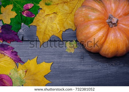 Autumn maple leaves and pumpkin
